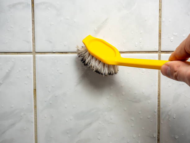 Best Black Mold Remediation in Stockton, KS