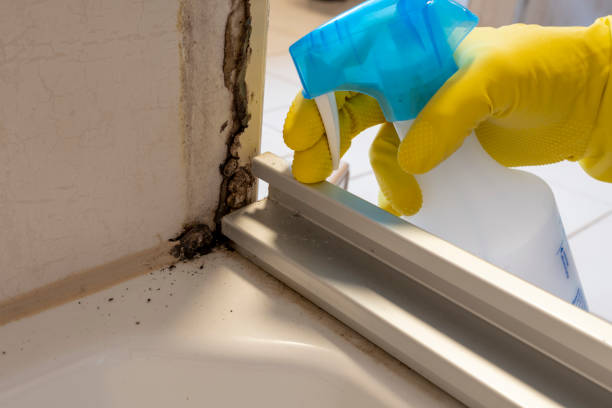 Best Crawl Space Mold Remediation in Stockton, KS