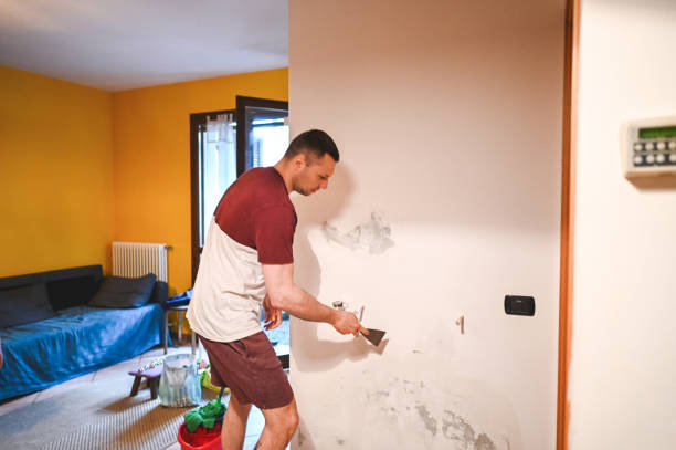 Stockton, KS Mold Remediation Company